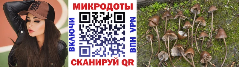 Псилоцибиновые грибы ЛСД  Купить  Киренск 
